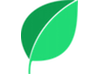 mintgrooming logo - home